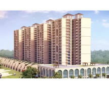 Flat for Rent in Greater Noida Sector 1