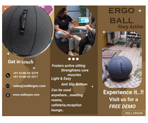 Ergo Ball Lounge Chair: A New Way to Relax and Work