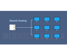 Best shared hosting services in india