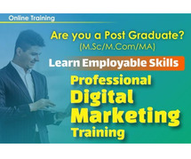 Top Online Digital Marketing Training In Chennai NareshIT
