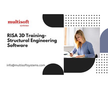 RISA 3D Online Training- Structural Engineering Software