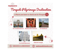 Best One Day Package from Chennai to Tirupati