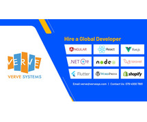 Python Web Development Service