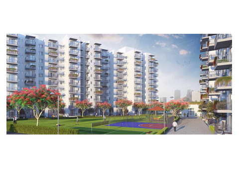 Affordable Urban Haven: 1 BHK Apartments in Faridabad