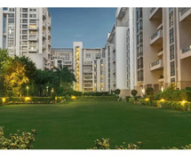 SS Group Sector 83 offering 3 BHK Luxury Apartments
