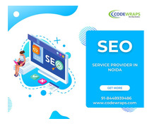 The Best SEO Services Provider In Noida