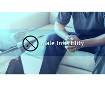 Best Ayurvedic Treatment for Male Infertility