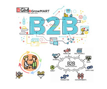 Fastest growing B2B services In India