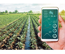 Crop health monitoring using remote sensing