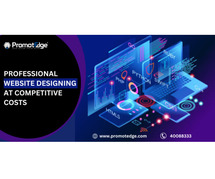 Professional Website Designing at Competitive Costs