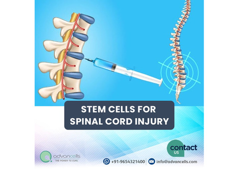 Stem Cell Treatment For Spinal Cord Injury
