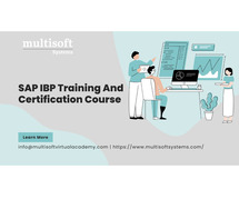 SAP IBP Online Training And Certification Course