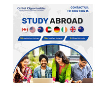 Study Abroad Overseas Education Consultants India