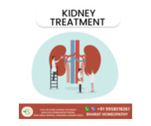 Renal Expert: Navigating Kidney Health with a Specialist