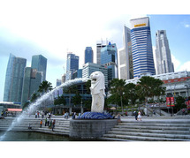 Discover the Charms of Singapore: Unforgettable Tours from Chennai