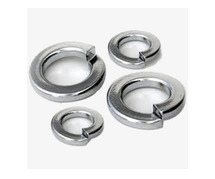 Buy SS Spring Washers