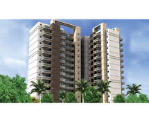Ready  to move 2BHK flat for sale in sector 37C GURGAON