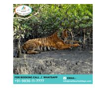 Sundarban Tour Package From Kolkata