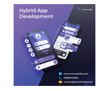 Hybrid App Development Company in Hyderabad