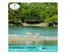 Sundarban Tour Package From Mumbai