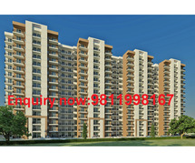 Luxury 2 & 3 BHK apartments in sector79B, Gurgaon @ Contact us 9811998167