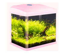 Buy Aquarium Fish Tank - 14% Off