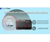 ink levels on canon printer | Printerfixes