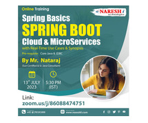 Best online spring boot and microservices training institute in India 2023