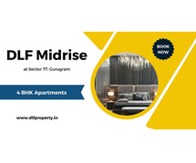 DLF Midrise Sector 77 Gurgaon - Everyday In Paradise