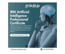 IBM artificial intelligence professional certificate