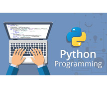 Python Programming Internship Institute
