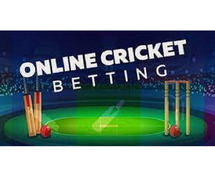 Explore the World of Online Cricket Betting with yolo247