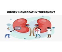 Decoding Kidney Health: A Complete Diagnosis Guide