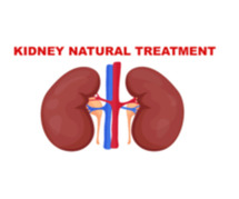 Common Symptoms of Kidney Infection: Identifying the Warning Signs