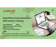 SmartPlant Instrumentation (SPI) Intools Online Training