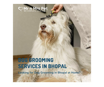 Dog Grooming Services in Bhopal