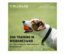 Dog Training School in Bhubaneswar