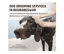 Dog Grooming Services in Bhubaneswar