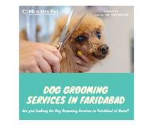 Dog Grooming Services in Faridabad
