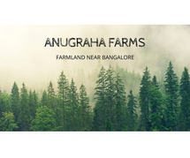 Farm Plots Near Bangalore - Experience Serenity: Anugraha Farms