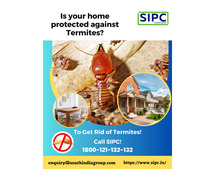 Termite Control in Goa
