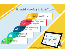 Free Excel, VBA & SAP FICO Training with Financial Modeling Certification Course in Delhi,