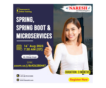 Training institutes for spring boot and micorservices training in india 2023