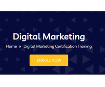 Digital marketing course online with placement
