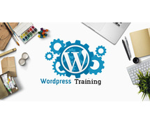WordPress Training In Chennai