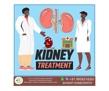 High Creatinine Levels: Identifying the Quiet Symptoms of Renal Stress