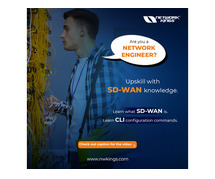 Cisco SD-WAN Courses