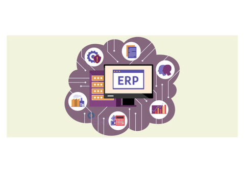 Top ERP Development Company in India