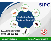 Pest Control Services in Goa