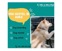 Dog Hostel in Agra